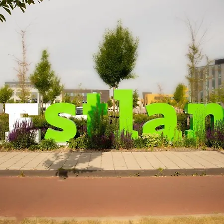 Vita Vivet Vlierboom Met Zo Nodig Wijkverpleging *