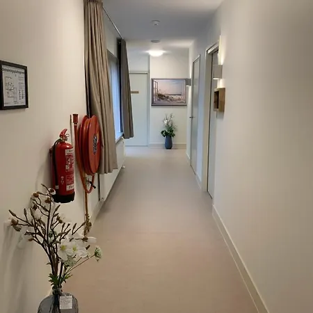 Vita Vivet Vlierboom Met Zo Nodig Wijkverpleging Panzió s-Gravenzande