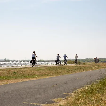 Vita Vivet Vlierboom Met Zo Nodig Wijkverpleging * s-Gravenzande