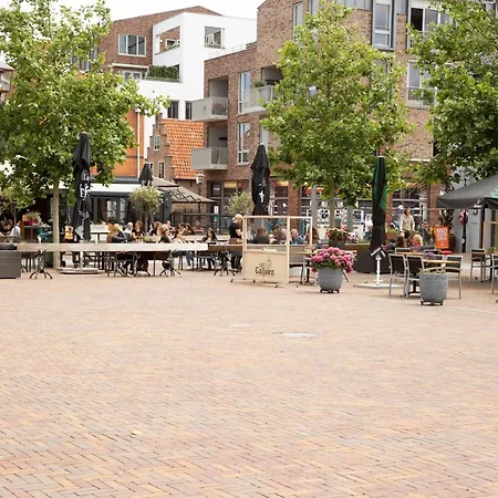 Vita Vivet Vlierboom Met Zo Nodig Wijkverpleging Panzió