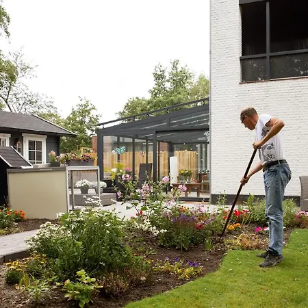 Vita Vivet Vlierboom Met Zo Nodig Wijkverpleging Panzió