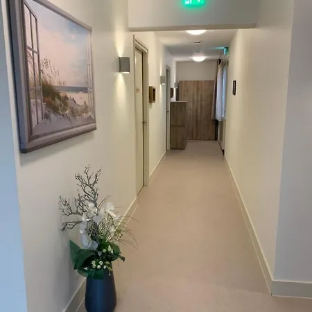 Vita Vivet Vlierboom Met Zo Nodig Wijkverpleging Panzió s-Gravenzande