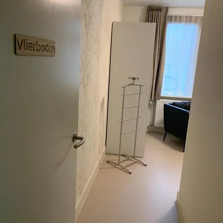 Vita Vivet Vlierboom Met Zo Nodig Wijkverpleging Panzió s-Gravenzande